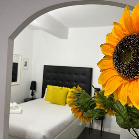A 20 Pasos Del Museo Picasso Apartman Málaga Kültér fotó